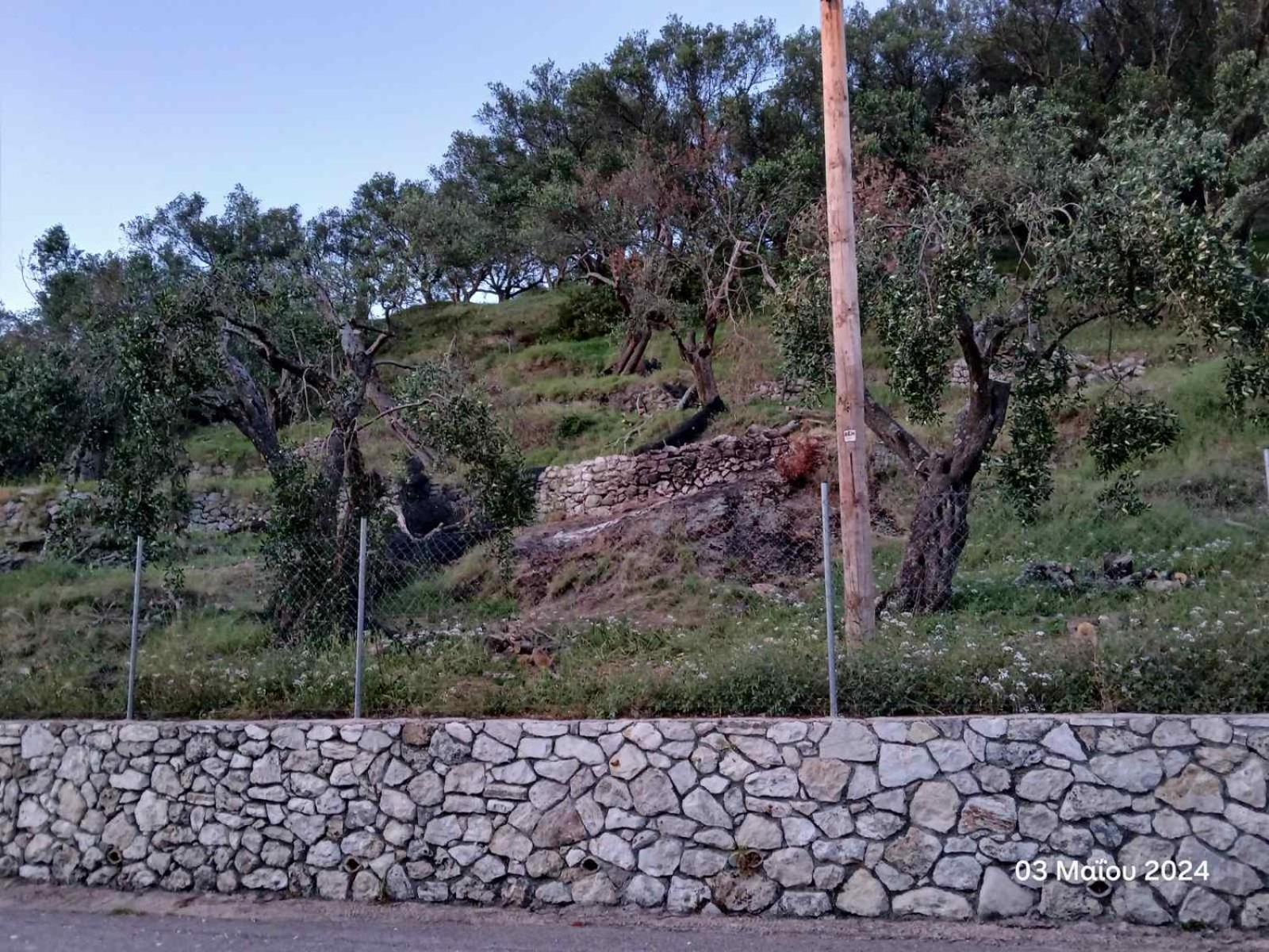 Christos Holiday home *